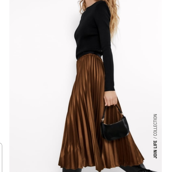 ZARA Pleated Skirt - Picture 1 of 4